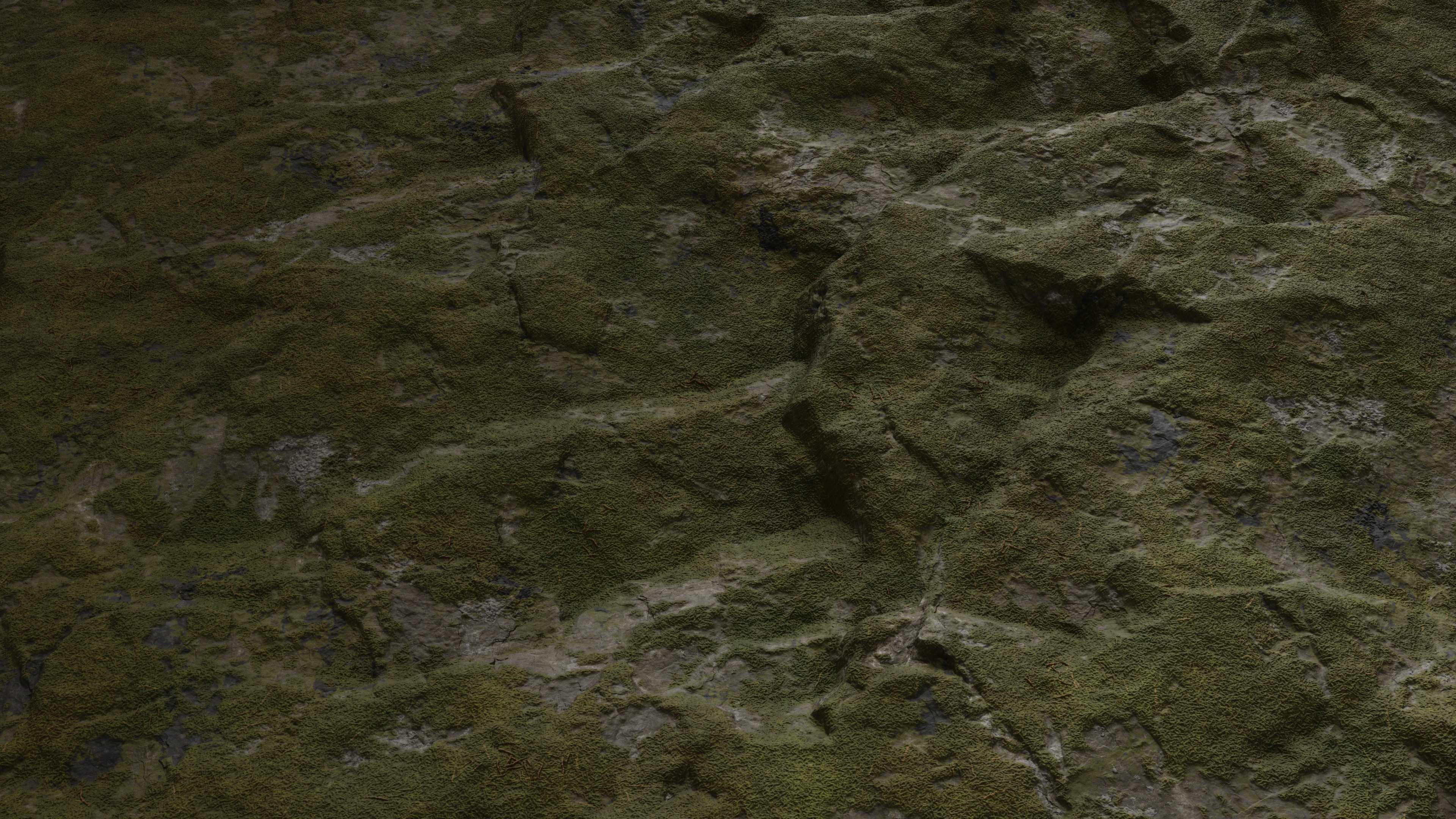 Mossy Rock Surface - PBR0300